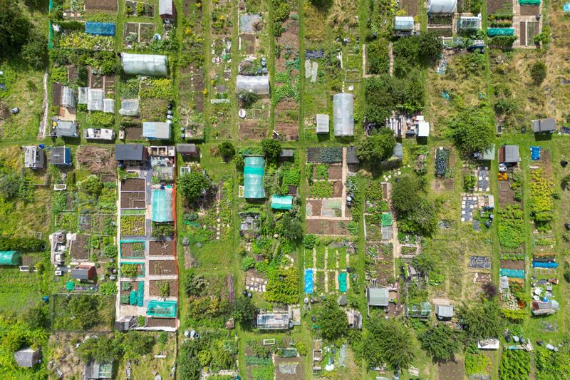Phoenix Permaculture Design Course - The Urban Farm — Phoenix, AZ ...